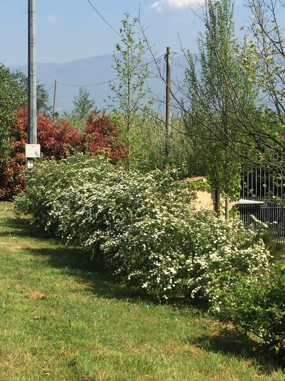 Lago Gabbiano Podere Casanova Pistoia Exteriör bild